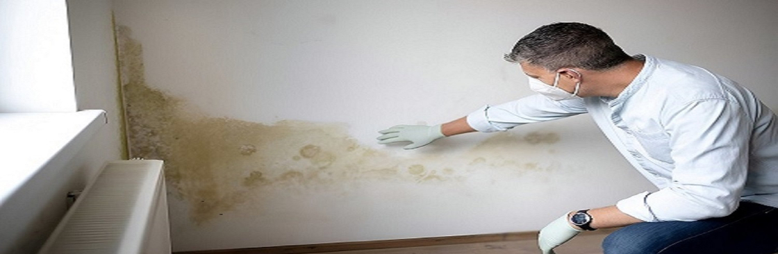 The Mould Assessors Cover Image