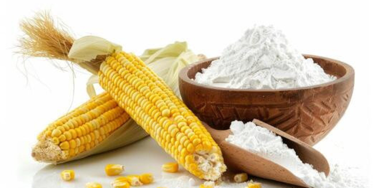 Organic Starch Market Overview: Global Demand and Emerging Trends Across Diverse Industries Worldwide
