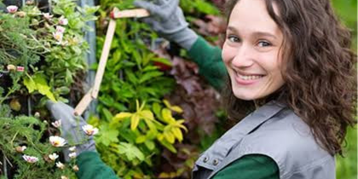 Emergency Tree Cutting for Fast Response, Safer Properties, and Peace of Mind