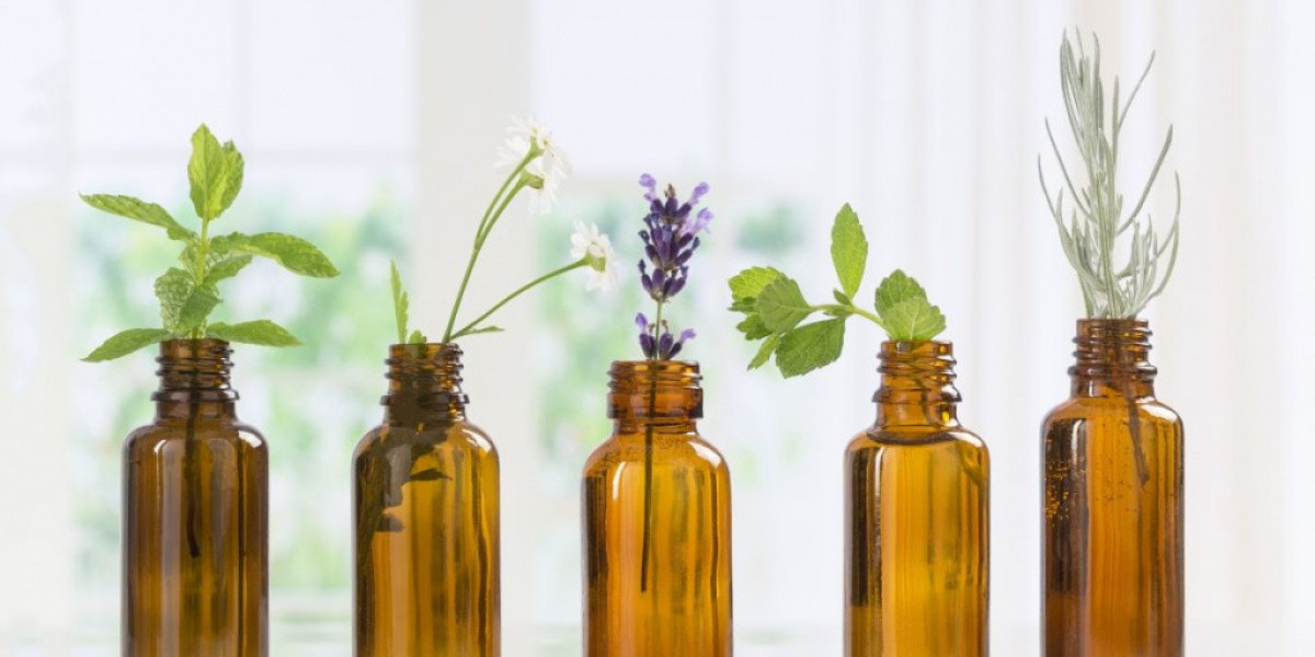 Beverage Botanical Extracts Market Forecast: Future Growth Trends, Innovations, and Emerging Opportunities.
