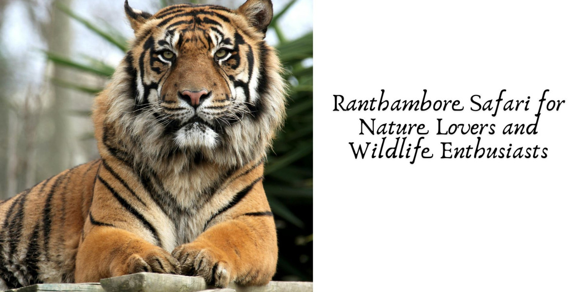 Ranthambore Safari for Nature Lovers and Wildlife Enthusiasts