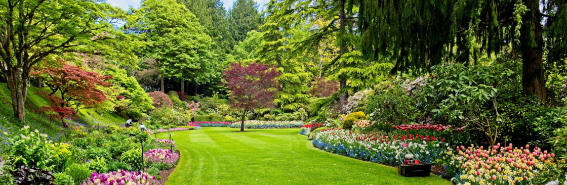 Guild Lawn and Landscaping Cover Image