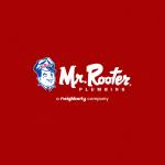 Mr Rooter Plumbing of Dallas Profile Picture