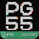 PG55 report Profile Picture