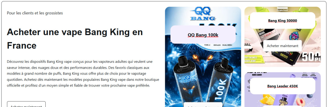 Acheter une vape Bang King en France Cover Image
