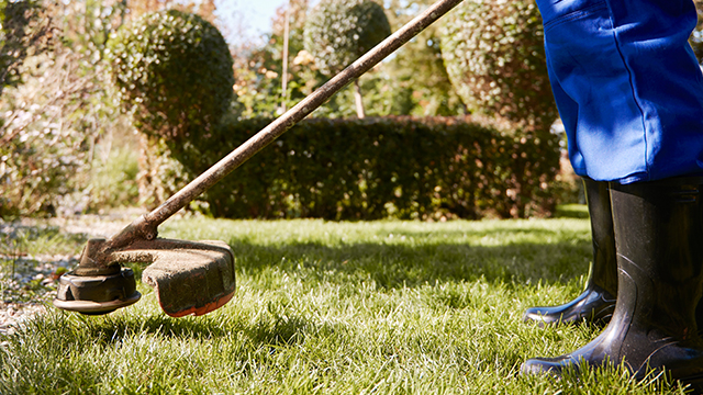 Grass Slashing Services St Albans | Western Lawn Mowing