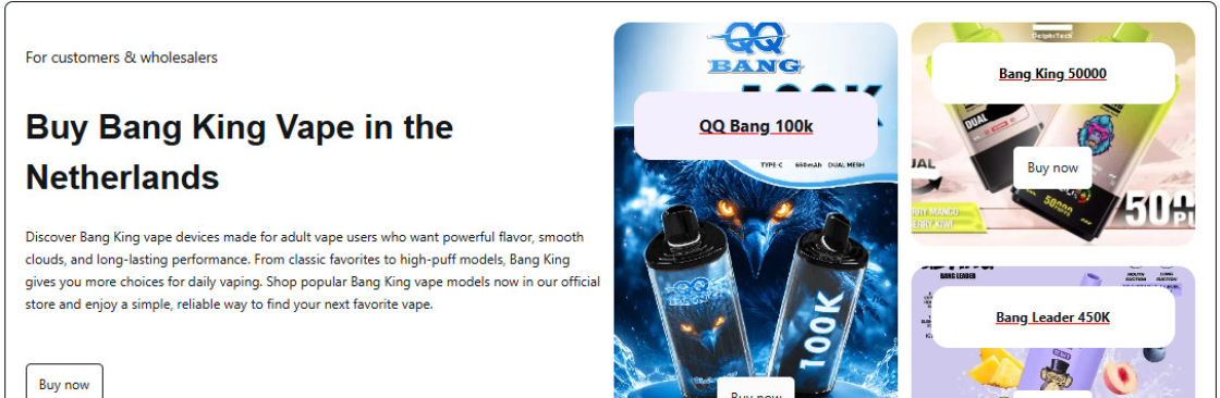 Bang King Vape kopen in Nederland Cover Image