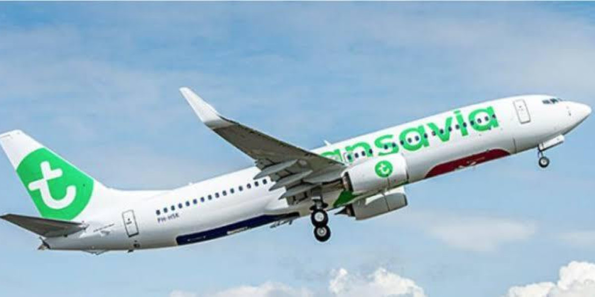 Article Picture