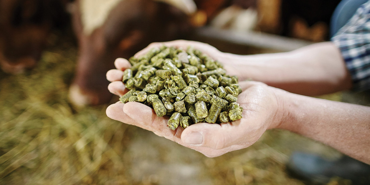 Animal Nutrition Market Emerging Trends Shaping Future Livestock Production