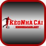 Keonhacai8 art Profile Picture