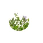 juliamilescounselling Profile Picture