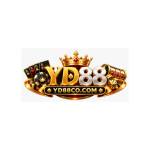Yd88co com Profile Picture