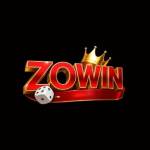Zowins games Profile Picture