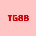 Tg888bb com Profile Picture