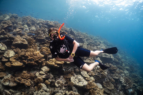 How a Guided Snorkeling Trip Can Make Offshore Exploration Easier