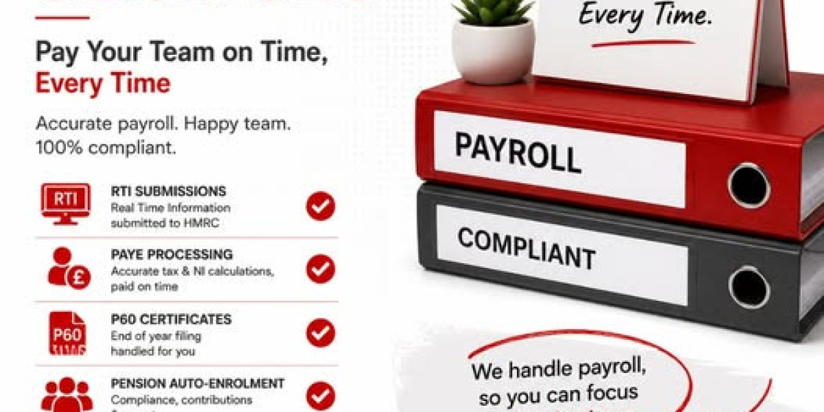 A Complete Guide to Professional Accounting Support
