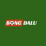 Bongdalu boutique Profile Picture