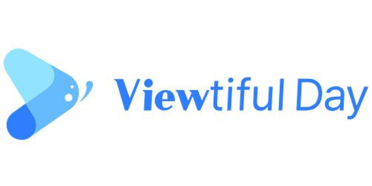 From Followers to Engagement: Instagram Growth with Viewtifulday