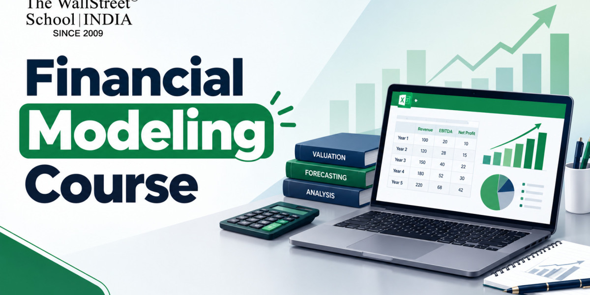 Financial Modeling Course vs Learning Everything on Your Own