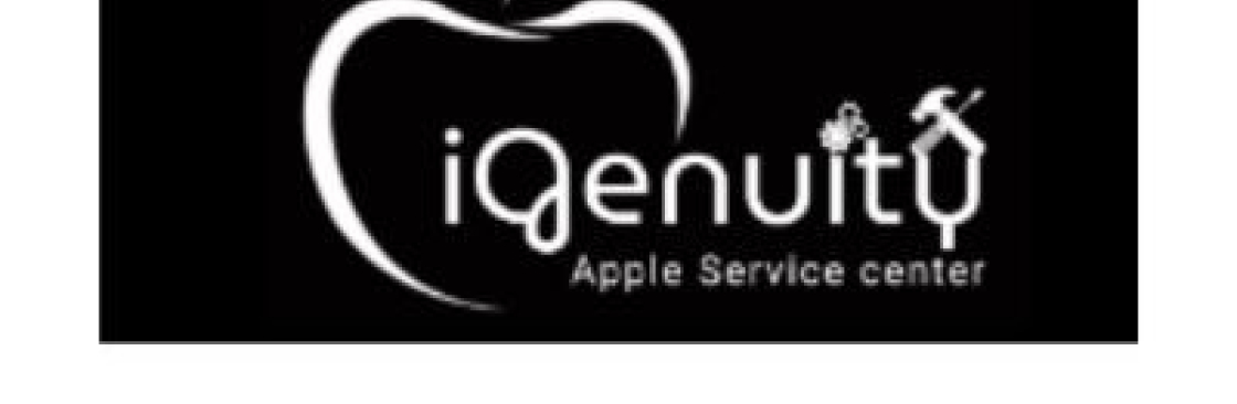 Ingenuity service Cover Image