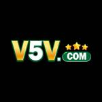 v5v Profile Picture
